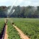 Έρχεται-και-ο-φόρος-νερού-στις-αγροτικές-καλλιέργειες